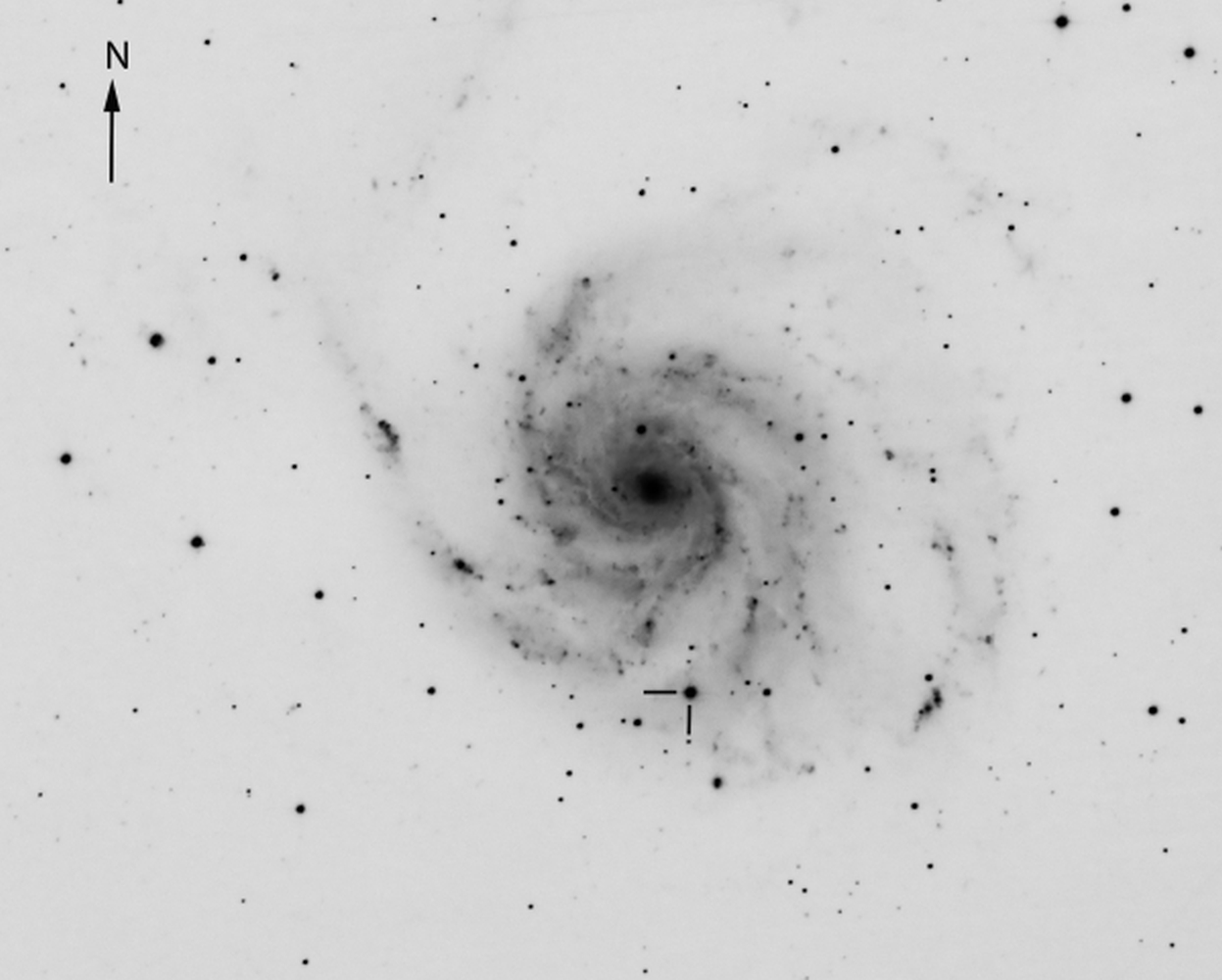 M101 with sn2011fe from BMV Observatories