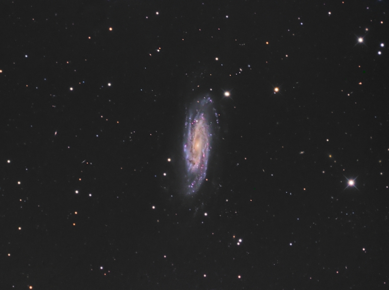 NGC 3198 from BMV Observatories