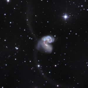 NGC 4038 from BMV Observatories