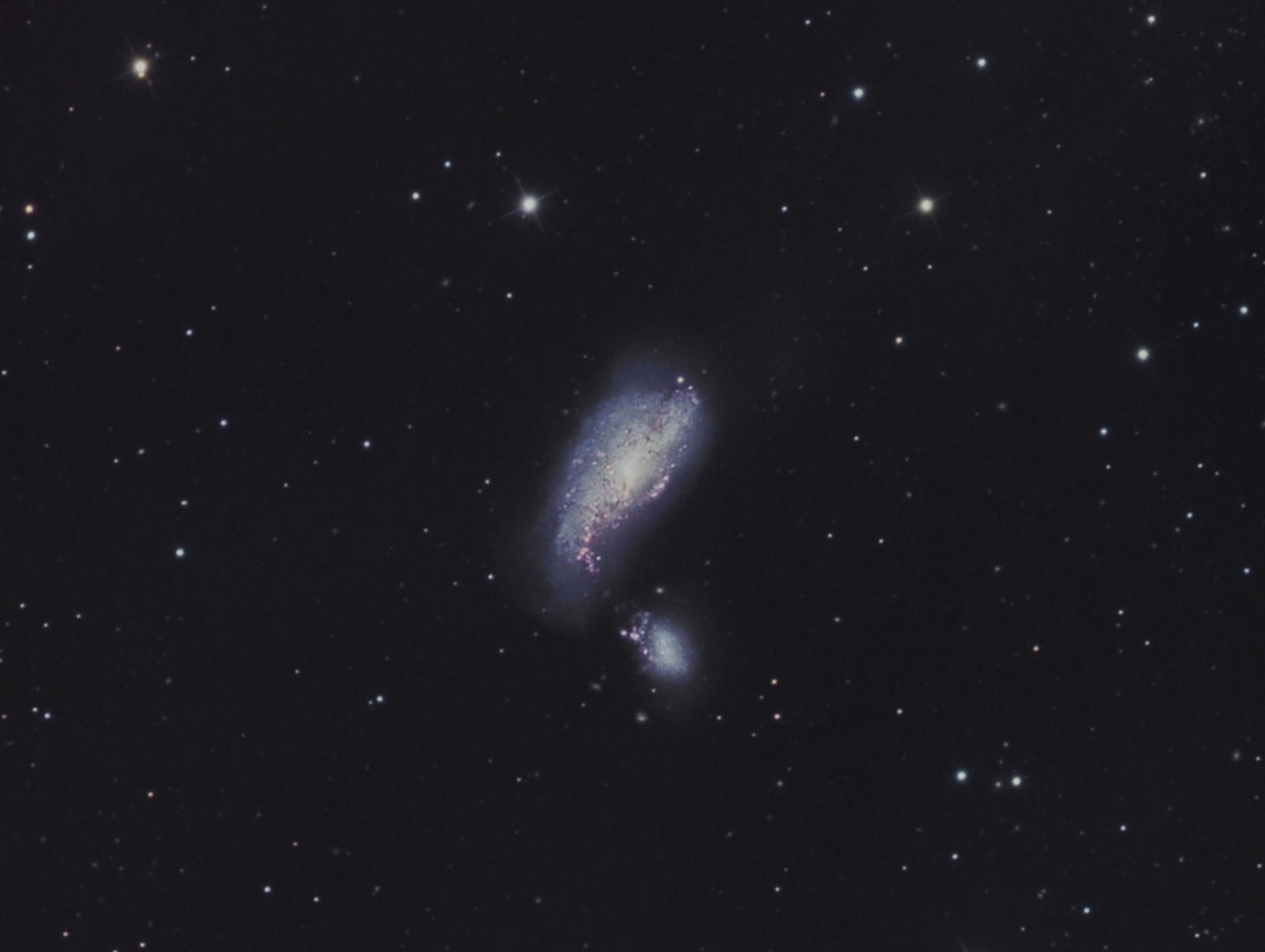 NGC 4490  from BMV Observatories