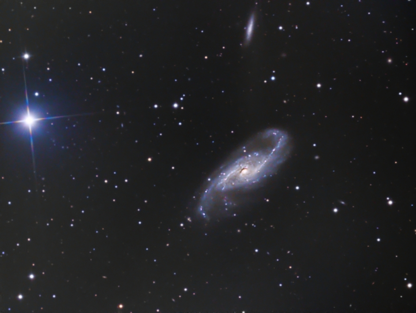 NGC4536  from BMV Observatories